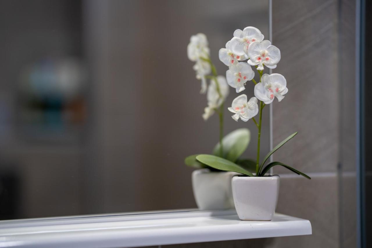Apartman Teona *