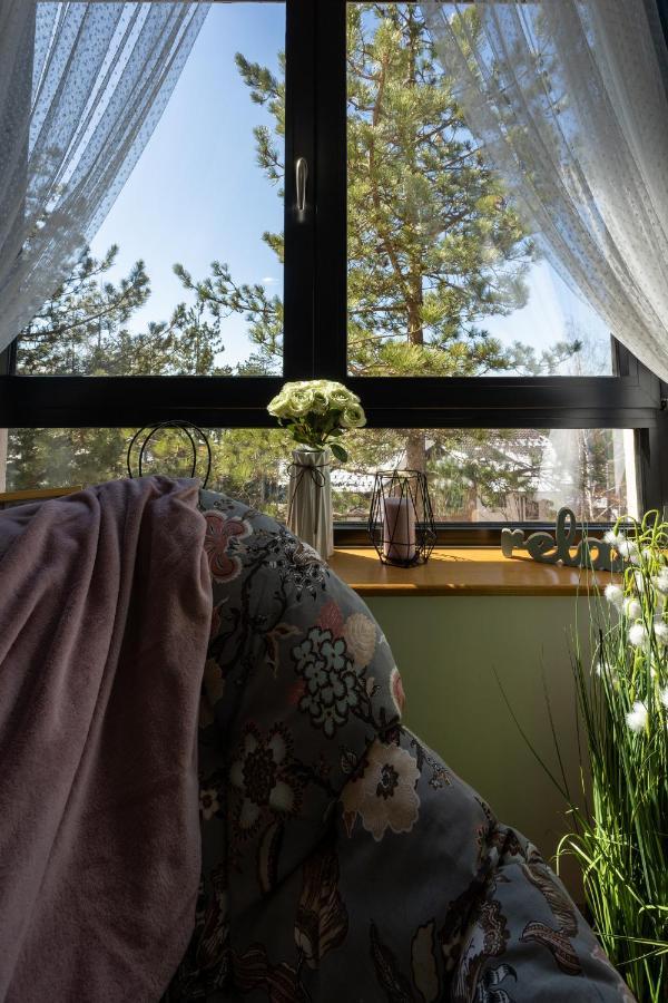 Apartman Teona *